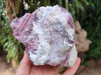 Natural Pink Rubellite Tourmaline Specimens x 2 From Karibib, Namibia - Toprock Gemstones and Minerals 