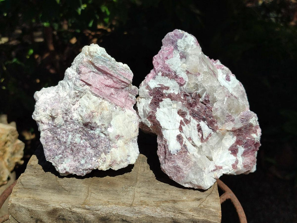 Natural Pink Rubellite Tourmaline Specimens x 2 From Karibib, Namibia - Toprock Gemstones and Minerals 