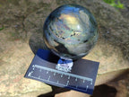 Polished Labradorite Mixed Batch x 3 From Madagascar - Toprock Gemstones and Minerals 