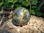 Polished Labradorite Mixed Batch x 3 From Madagascar - Toprock Gemstones and Minerals 