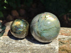 Polished Labradorite Mixed Batch x 3 From Madagascar - Toprock Gemstones and Minerals 
