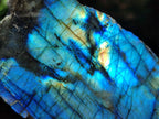 Polished Labradorite Mixed Batch x 3 From Madagascar - Toprock Gemstones and Minerals 