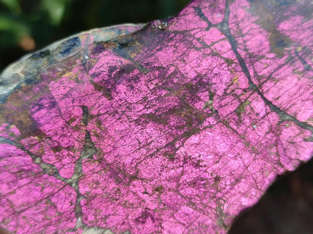 Polished One Side Metallic Purpurite Specimens x 3 From Erongo Namibia - Toprock Gemstones and Minerals 