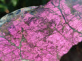 Polished One Side Metallic Purpurite Specimens x 3 From Erongo Namibia - Toprock Gemstones and Minerals 