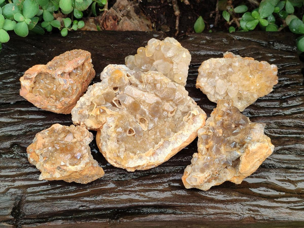 Natural Golden Limonite Quartz Clusters x 6 From Solwezi Zambia - Toprock Gemstones and Minerals 