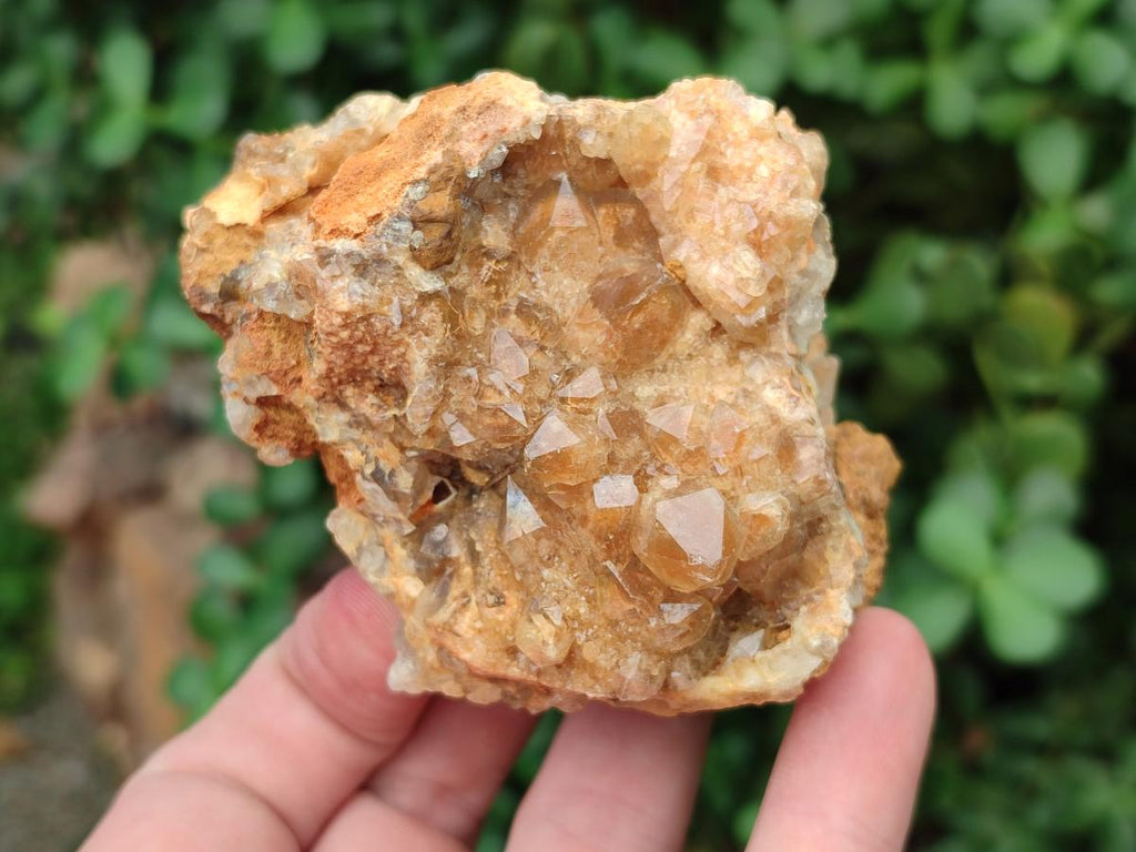 Natural Golden Limonite Quartz Clusters x 6 From Solwezi Zambia - Toprock Gemstones and Minerals 