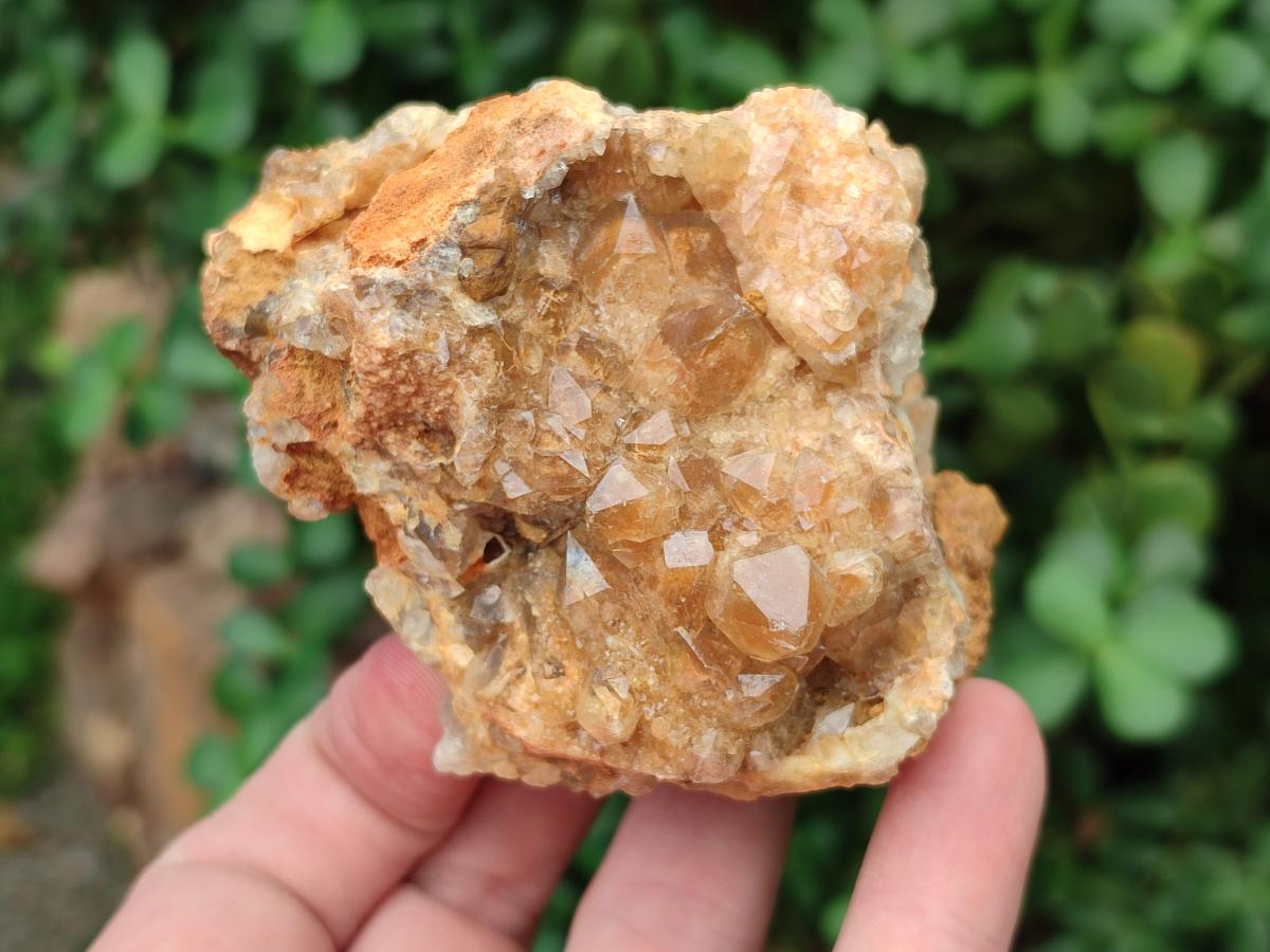 Natural Golden Limonite Quartz Clusters x 6 From Solwezi Zambia - Toprock Gemstones and Minerals 
