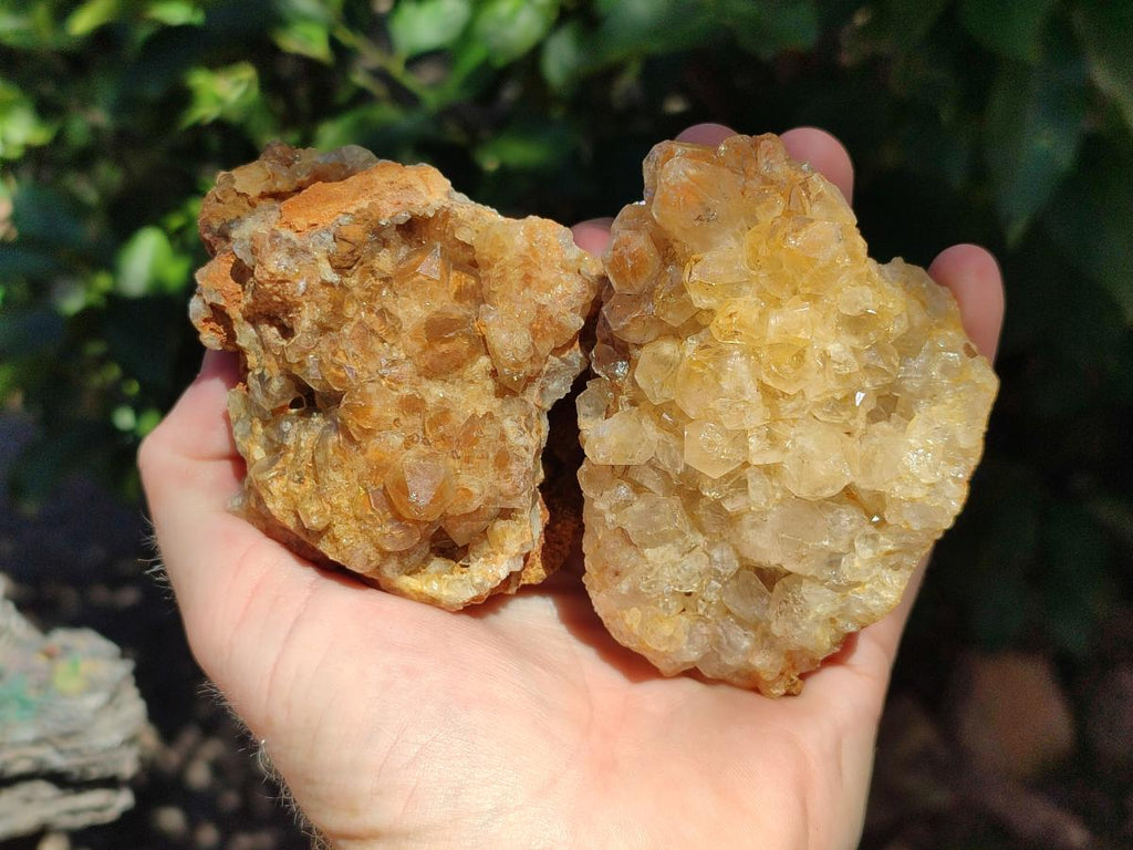 Natural Golden Limonite Quartz Clusters x 6 From Solwezi Zambia - Toprock Gemstones and Minerals 