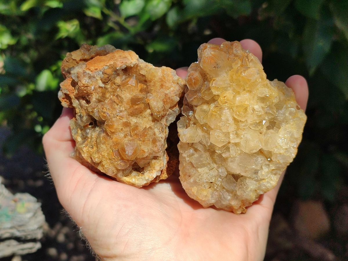 Natural Golden Limonite Quartz Clusters x 6 From Solwezi Zambia - Toprock Gemstones and Minerals 