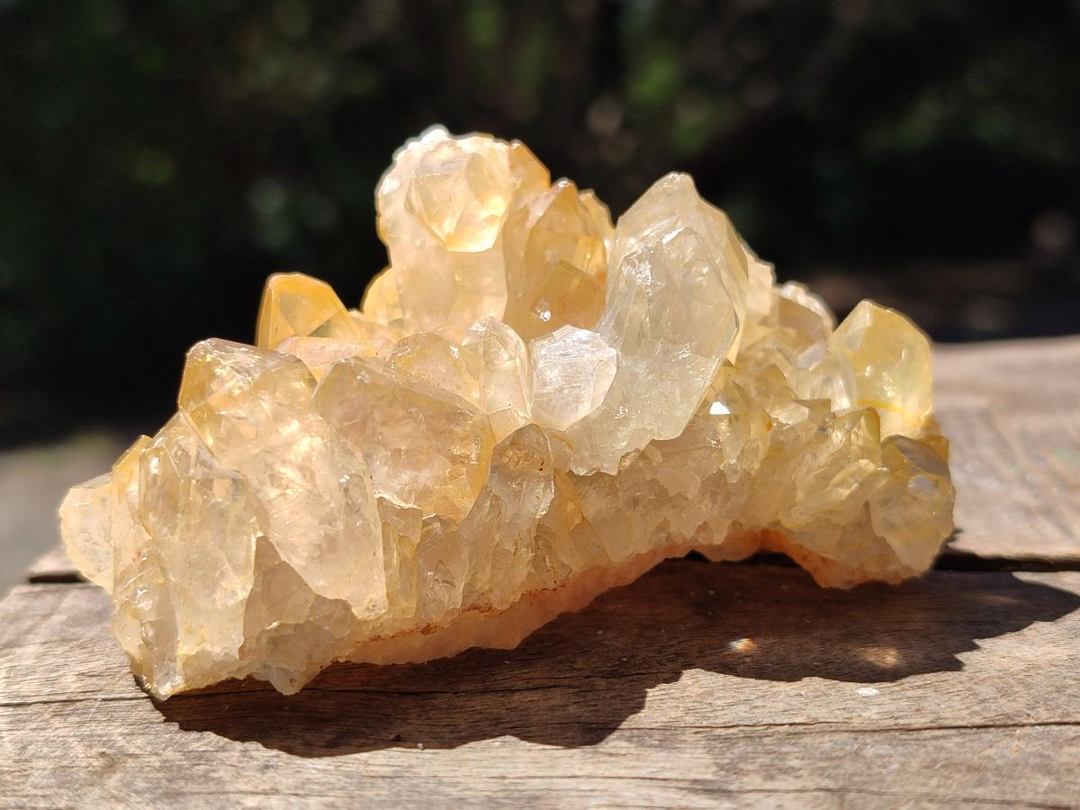 Natural Golden Limonite Quartz Clusters x 6 From Solwezi Zambia - Toprock Gemstones and Minerals 