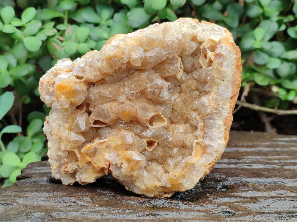 Natural Golden Limonite Quartz Clusters x 6 From Solwezi Zambia - Toprock Gemstones and Minerals 