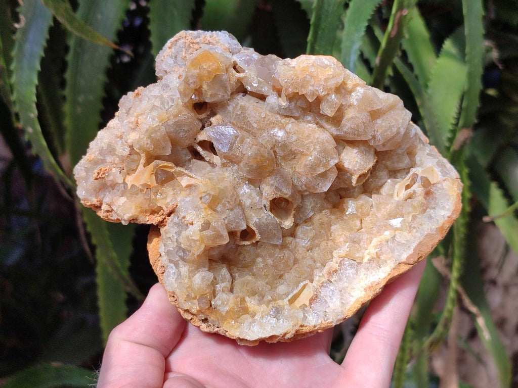 Natural Golden Limonite Quartz Clusters x 6 From Solwezi Zambia - Toprock Gemstones and Minerals 