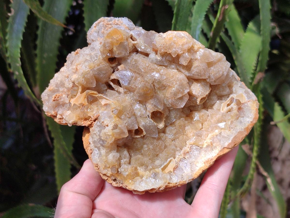 Natural Golden Limonite Quartz Clusters x 6 From Solwezi Zambia - Toprock Gemstones and Minerals 