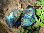 Polished Labradorite Slices x 35 From Madagascar - Toprock Gemstones and Minerals 