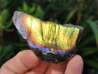 Polished Labradorite Slices x 35 From Madagascar - Toprock Gemstones and Minerals 