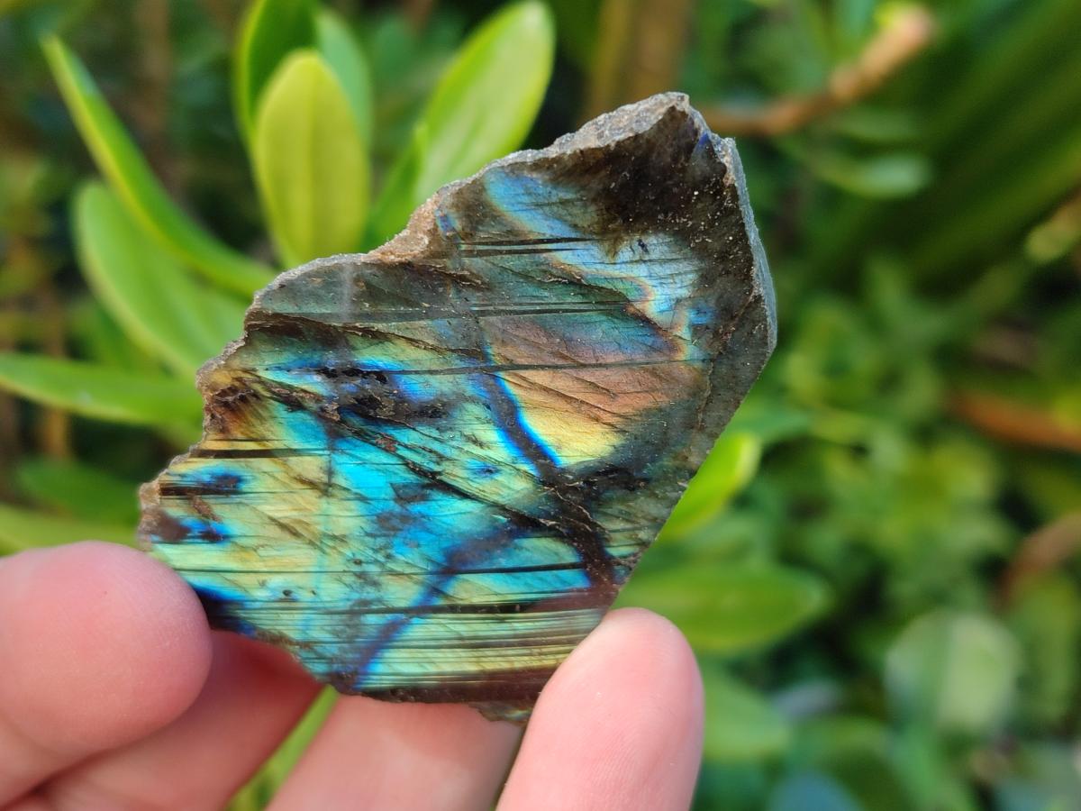 Polished Labradorite Slices x 35 From Madagascar - Toprock Gemstones and Minerals 