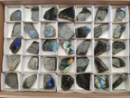 Polished Labradorite Slices x 35 From Madagascar - Toprock Gemstones and Minerals 
