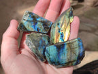 Polished Labradorite Slices x 35 From Madagascar - Toprock Gemstones and Minerals 
