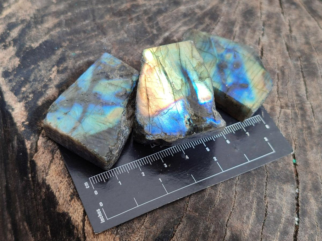 Polished Labradorite Slices x 35 From Madagascar - Toprock Gemstones and Minerals 