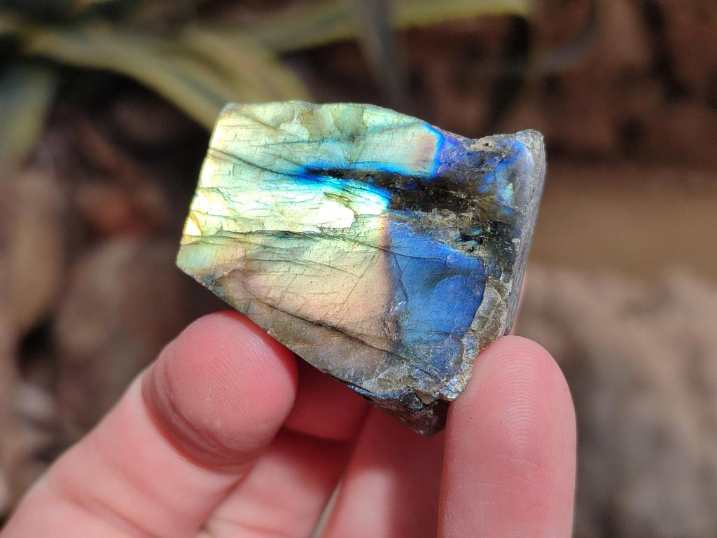 Polished Labradorite Slices x 35 From Madagascar - Toprock Gemstones and Minerals 