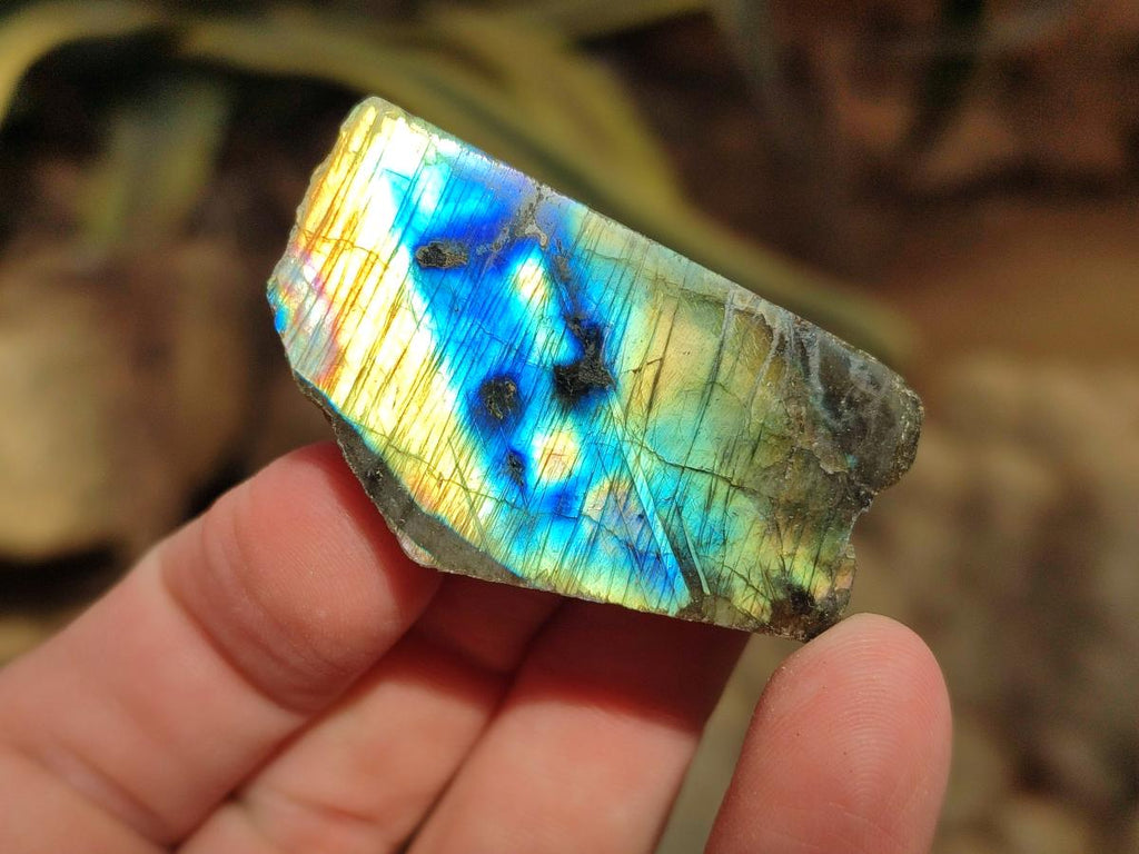 Polished Labradorite Slices x 35 From Madagascar - Toprock Gemstones and Minerals 