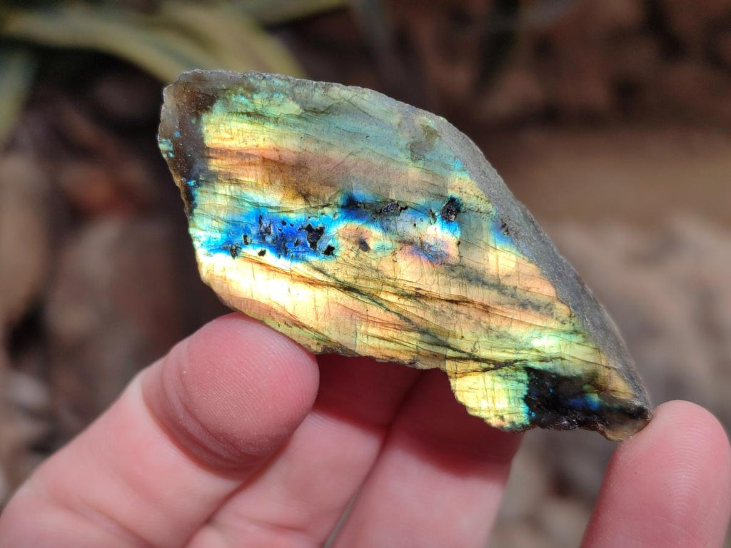 Polished Labradorite Slices x 35 From Madagascar - Toprock Gemstones and Minerals 