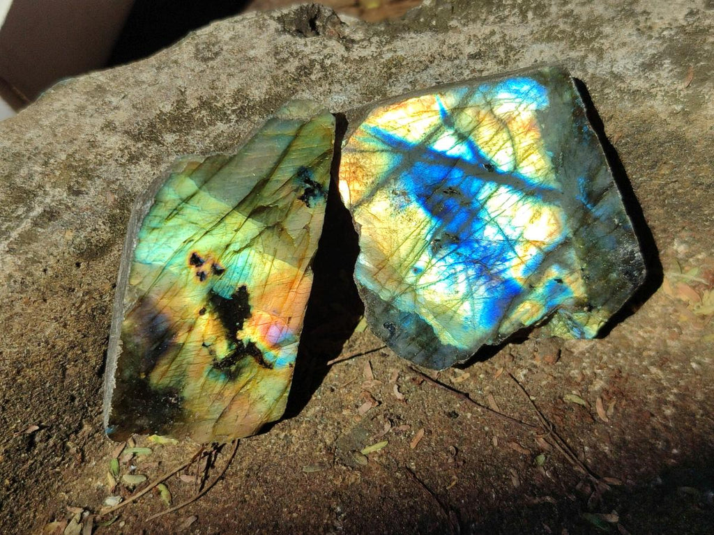 Polished Labradorite Slices x 35 From Madagascar - Toprock Gemstones and Minerals 