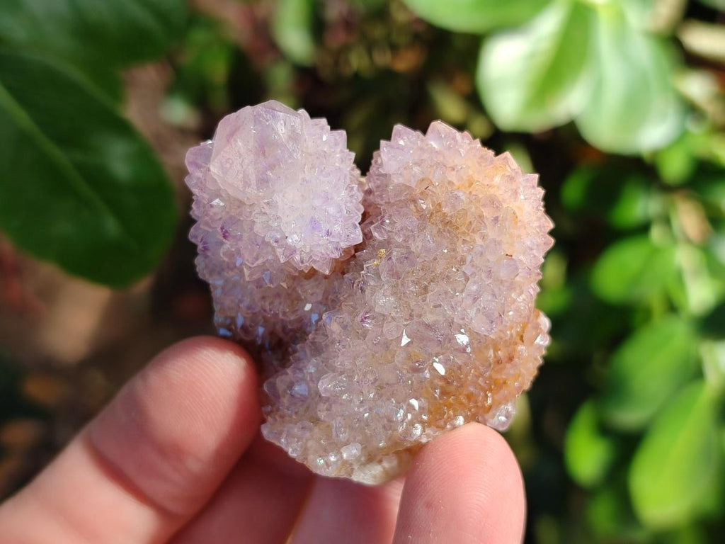 Natural Amethyst Spirit Quartz Clusters x 35 From Boekenhouthoek, South Africa - Toprock Gemstones and Minerals 