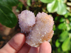 Natural Amethyst Spirit Quartz Clusters x 35 From Boekenhouthoek, South Africa - Toprock Gemstones and Minerals 