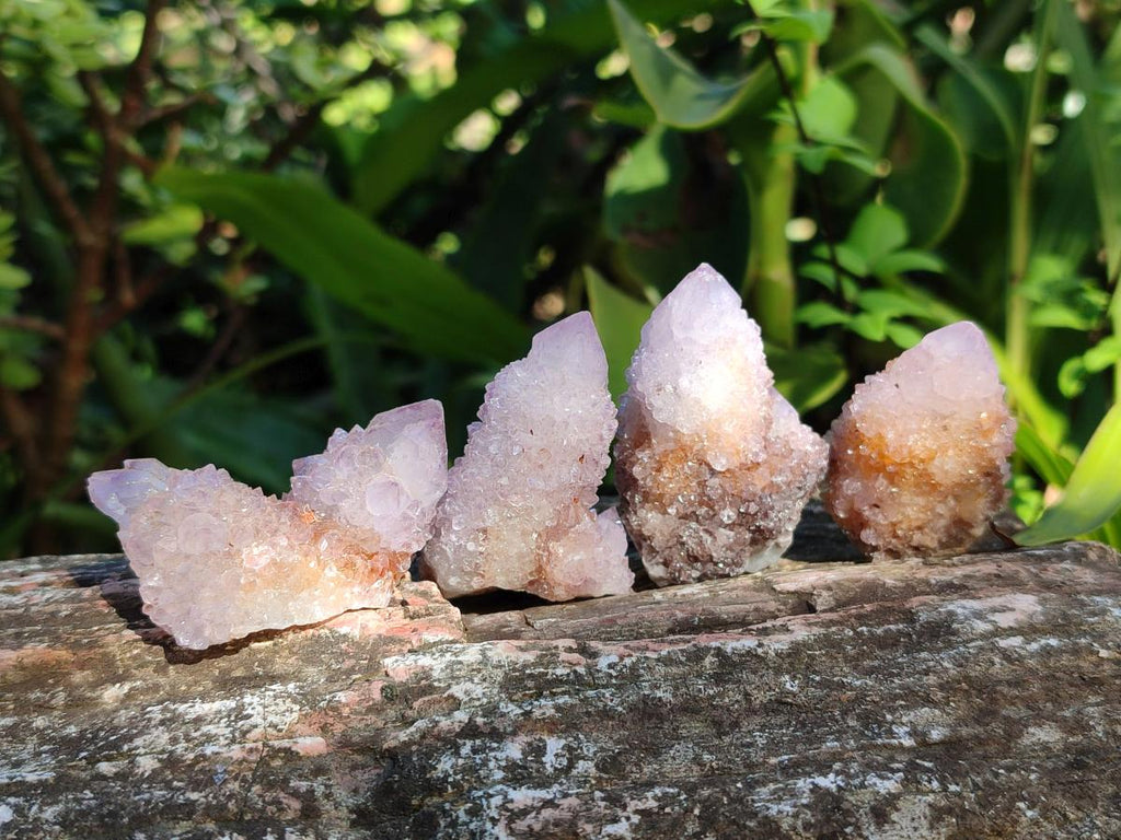 Natural Amethyst Spirit Quartz Clusters x 35 From Boekenhouthoek, South Africa - Toprock Gemstones and Minerals 