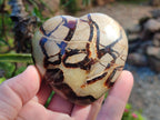 Polished Septerye Hearts x 12 From Mahajanga, Madagascar - Toprock Gemstones and Minerals 