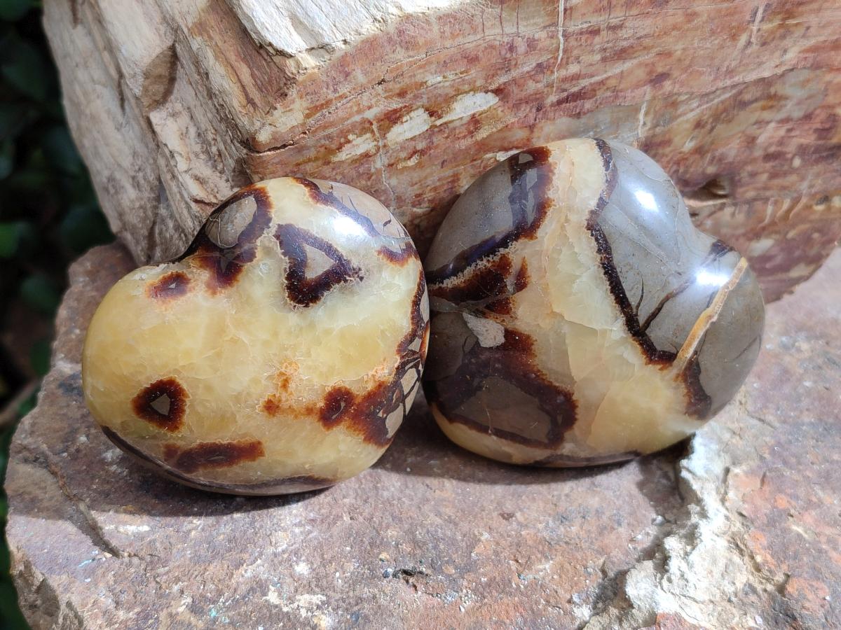 Polished Septerye Hearts x 12 From Mahajanga, Madagascar - Toprock Gemstones and Minerals 