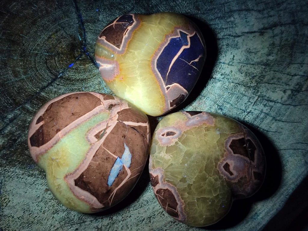 Polished Septerye Hearts x 12 From Mahajanga, Madagascar - Toprock Gemstones and Minerals 