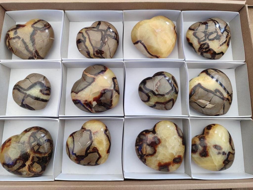 Polished Septerye Hearts x 12 From Mahajanga, Madagascar - Toprock Gemstones and Minerals 