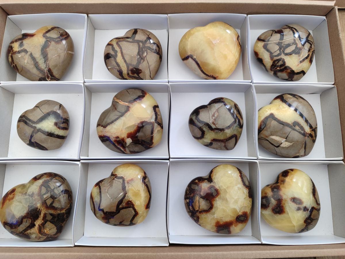 Polished Septerye Hearts x 12 From Mahajanga, Madagascar - Toprock Gemstones and Minerals 