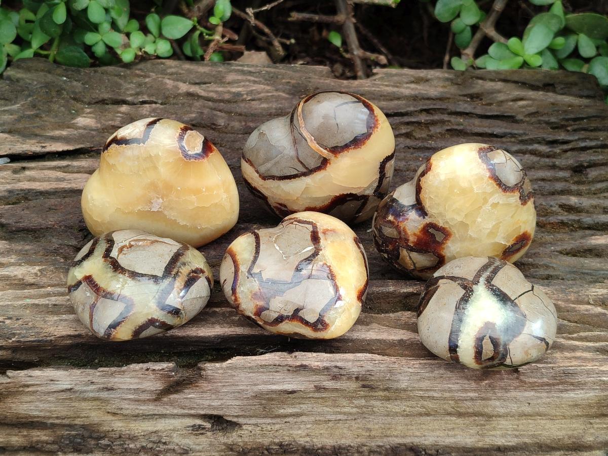 Polished Septerye Hearts x 12 From Mahajanga, Madagascar - Toprock Gemstones and Minerals 