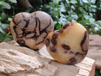 Polished Septerye Hearts x 12 From Mahajanga, Madagascar - Toprock Gemstones and Minerals 