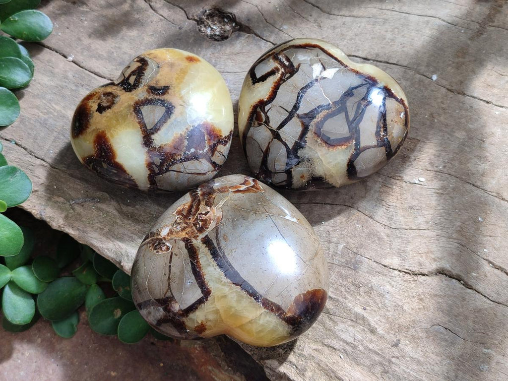 Polished Septerye Hearts x 12 From Mahajanga, Madagascar - Toprock Gemstones and Minerals 