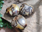 Polished Septerye Hearts x 12 From Mahajanga, Madagascar - Toprock Gemstones and Minerals 