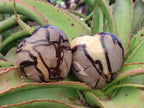 Polished Septerye Hearts x 12 From Mahajanga, Madagascar - Toprock Gemstones and Minerals 