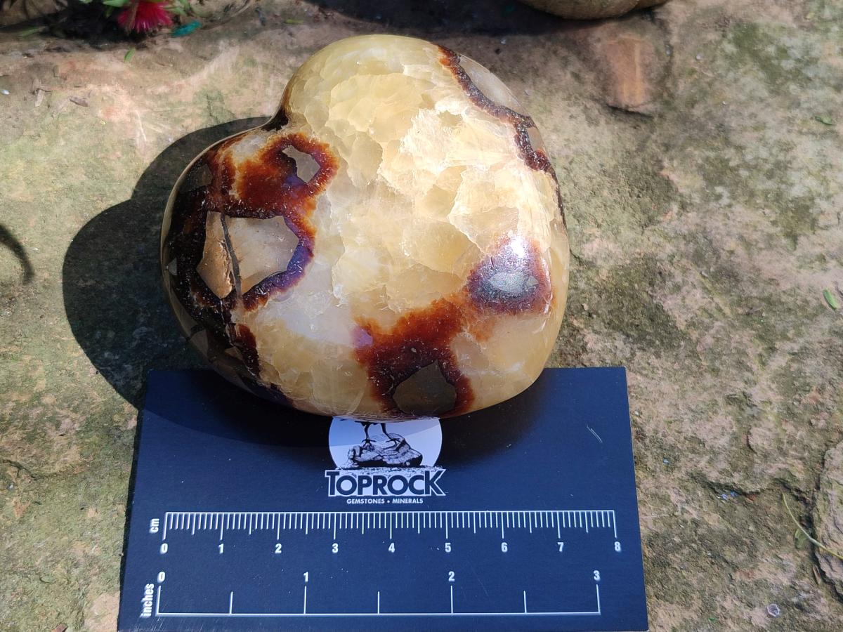 Polished Septerye Hearts x 12 From Mahajanga, Madagascar - Toprock Gemstones and Minerals 