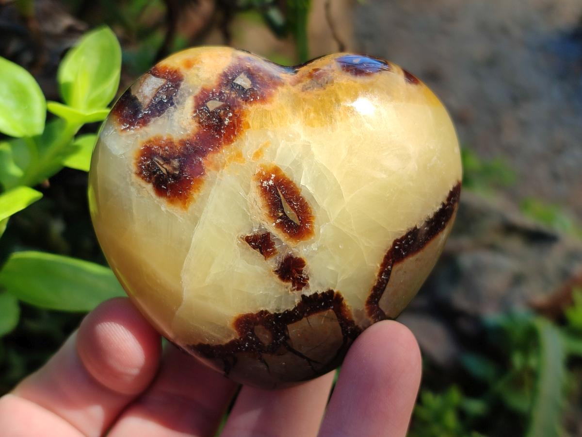 Polished Septerye Hearts x 12 From Mahajanga, Madagascar - Toprock Gemstones and Minerals 