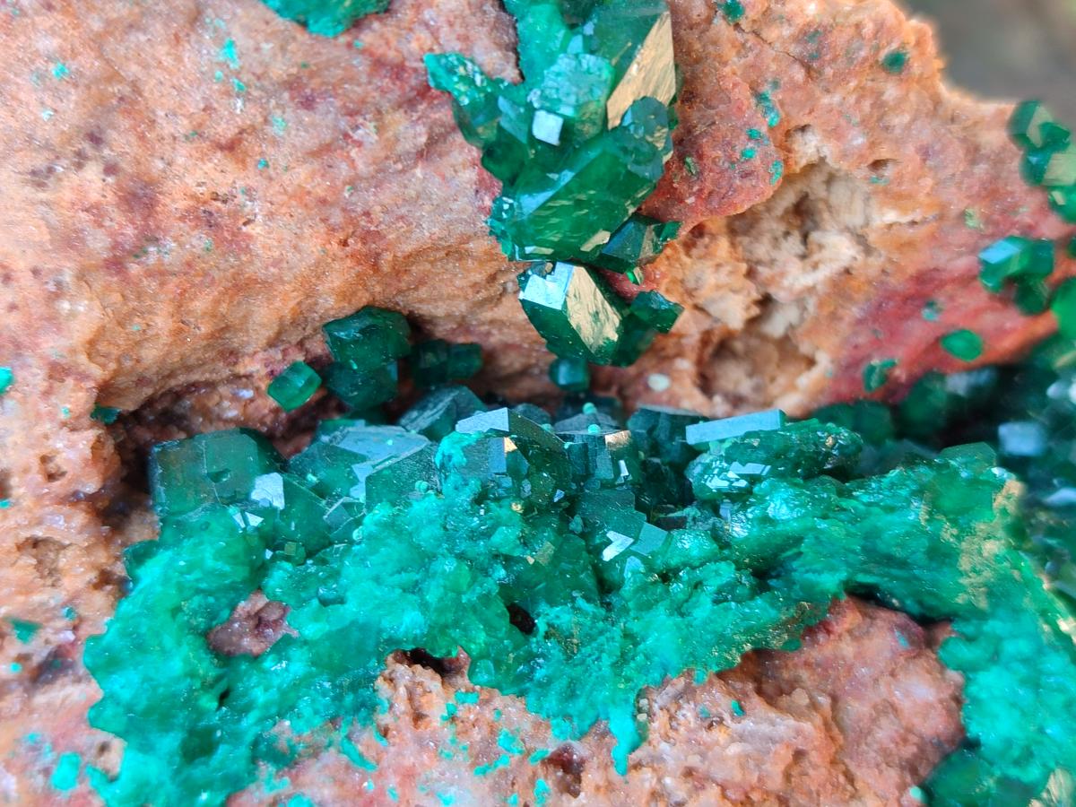 Natural Large Dioptase on Dolomite Specimen x 1 From Likasi, Congo - Toprock Gemstones and Minerals 