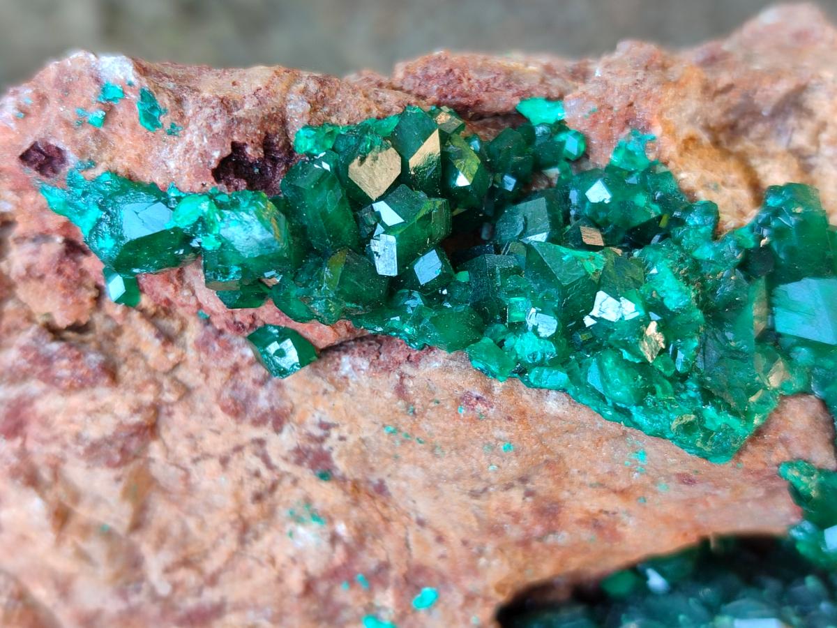 Natural Large Dioptase on Dolomite Specimen x 1 From Likasi, Congo - Toprock Gemstones and Minerals 