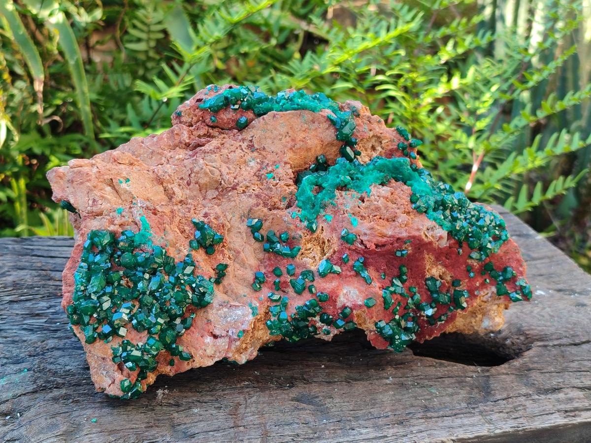 Natural Large Dioptase on Dolomite Specimen x 1 From Likasi, Congo - Toprock Gemstones and Minerals 