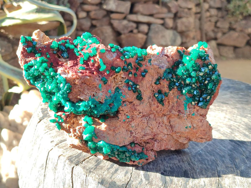 Natural Large Dioptase on Dolomite Specimen x 1 From Likasi, Congo - Toprock Gemstones and Minerals 