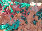 Natural Large Dioptase on Dolomite Specimen x 1 From Likasi, Congo - Toprock Gemstones and Minerals 