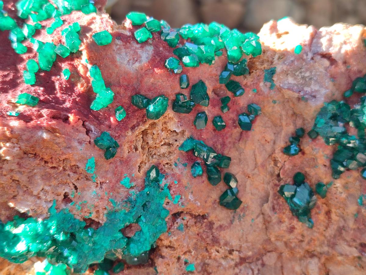 Natural Large Dioptase on Dolomite Specimen x 1 From Likasi, Congo - Toprock Gemstones and Minerals 