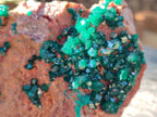 Natural Large Dioptase on Dolomite Specimen x 1 From Likasi, Congo - Toprock Gemstones and Minerals 