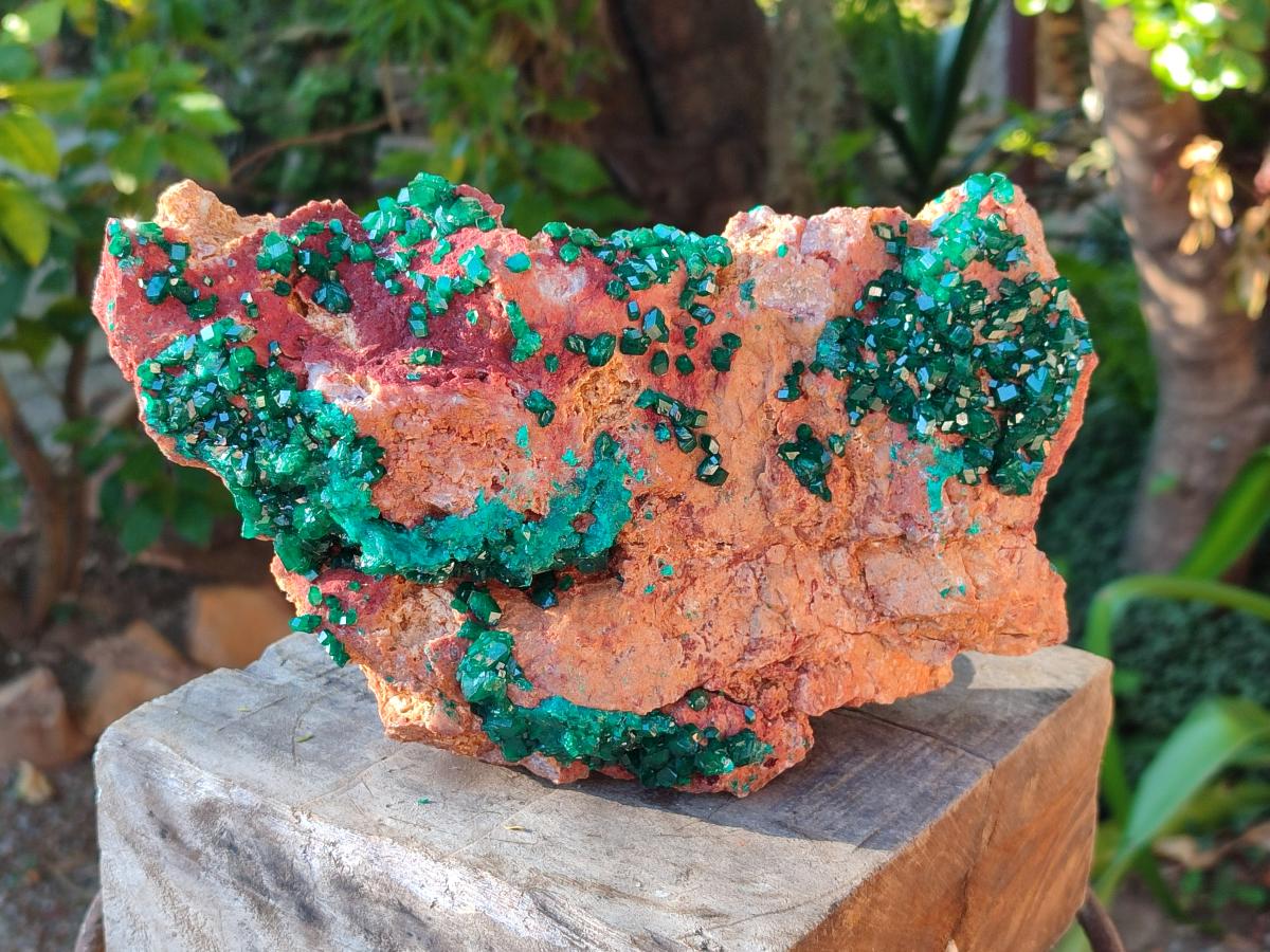 Natural Large Dioptase on Dolomite Specimen x 1 From Likasi, Congo - Toprock Gemstones and Minerals 